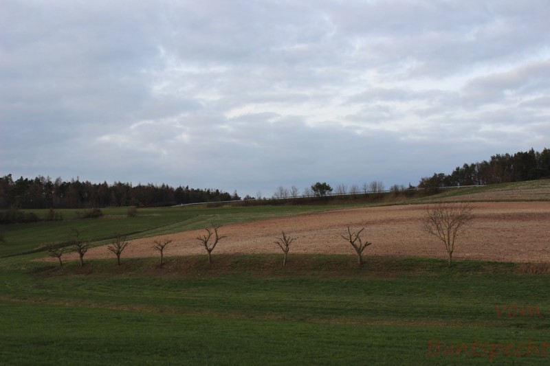 Bildle Nummära 001.jpg