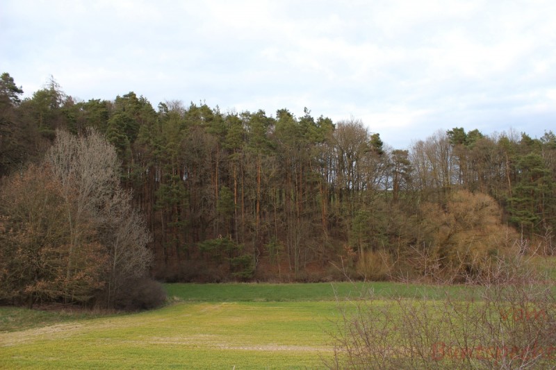 Bildle Nummära 002.jpg