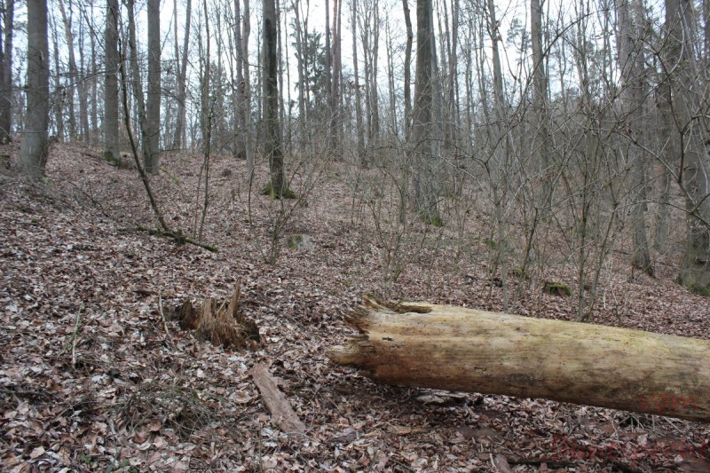 Bildle Nummära 006.jpg