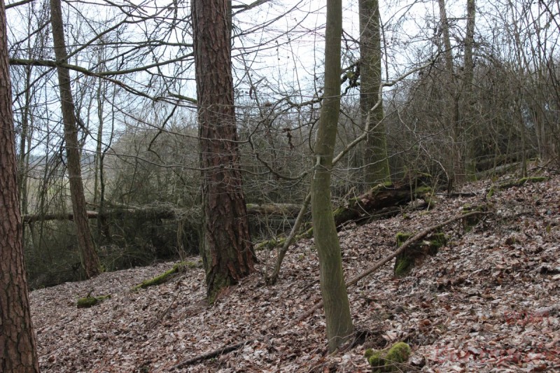 Bildle Nummära 008.jpg