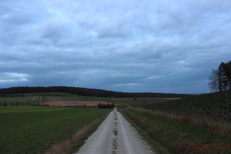 Bildle Nummära 010.jpg