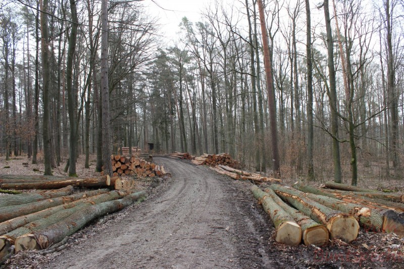 Bildle Nummära 002.jpg