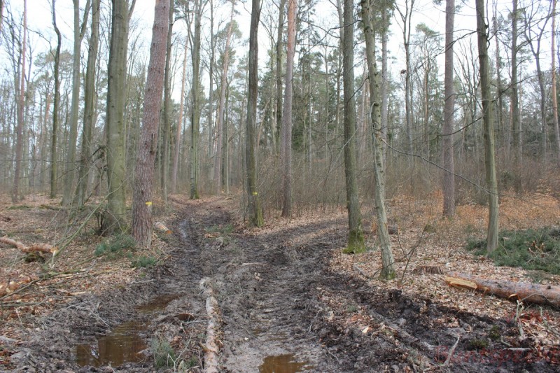 Bildle Nummära 003.jpg