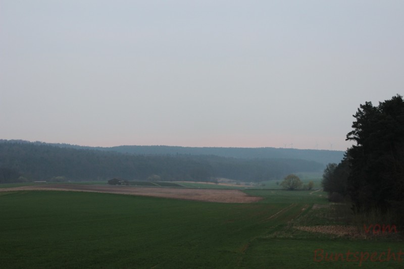 Bildle Nummära 005.jpg