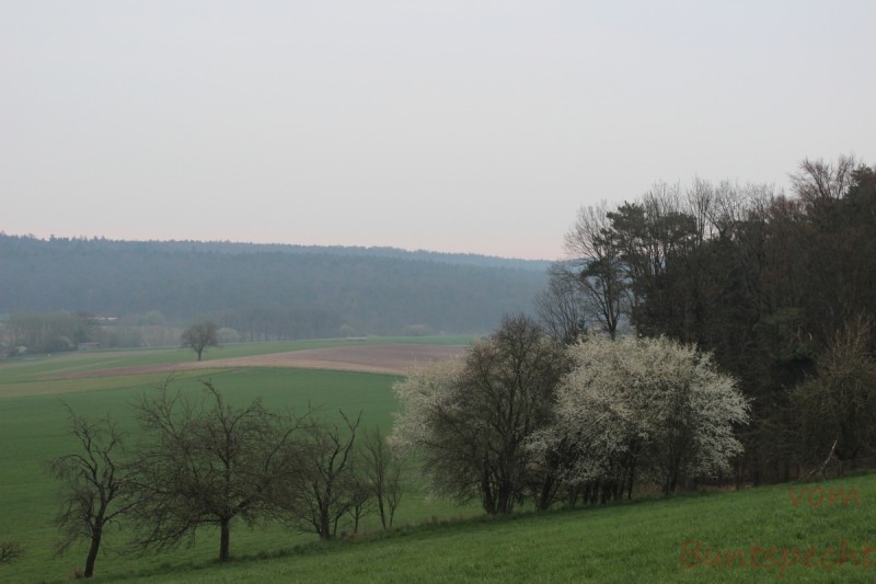 Bildle Nummära 007.jpg