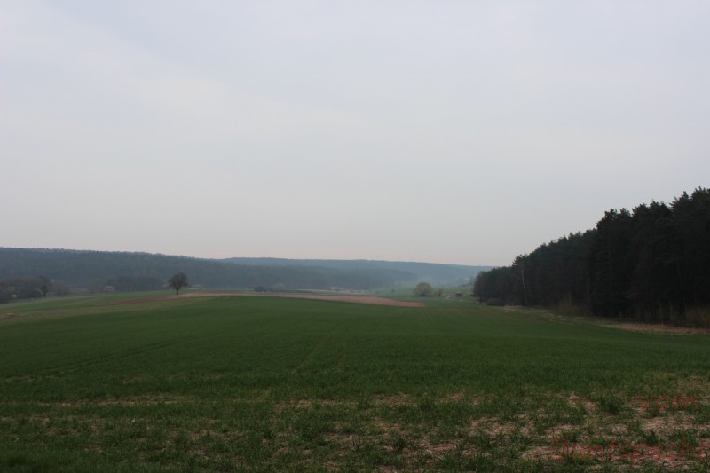 Bildle Nummära 008.jpg