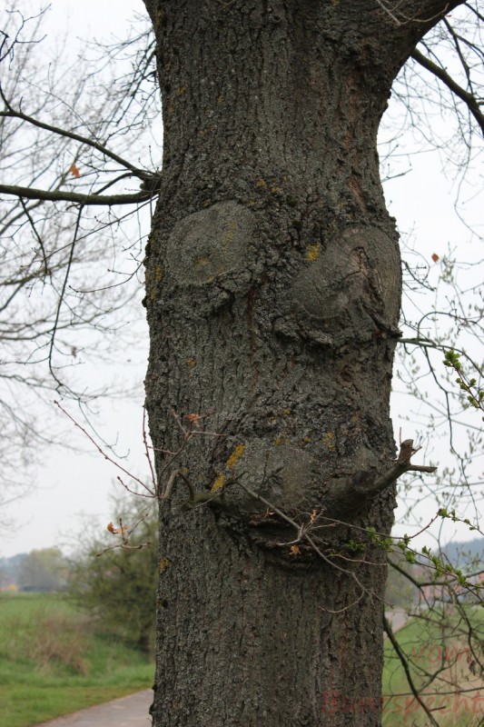 Bildle Nummära 009.jpg