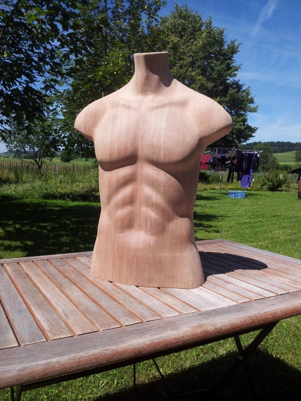 Torso.JPG