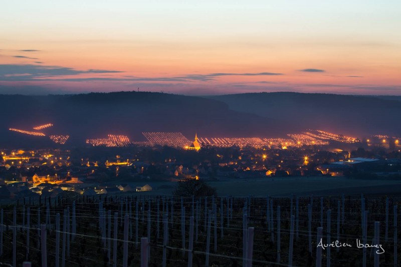 Frost Chablis.jpg