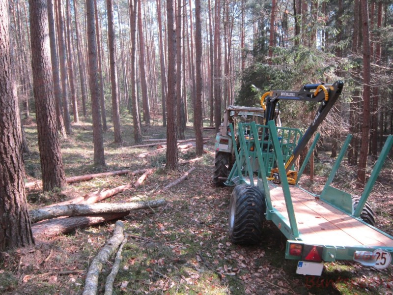 Bildle Nummära 001.jpg