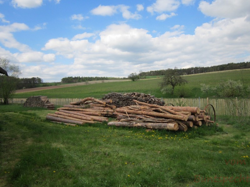 Bildle Nummära 005.jpg