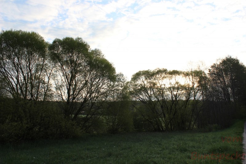 Bildle Nummära 001.jpg