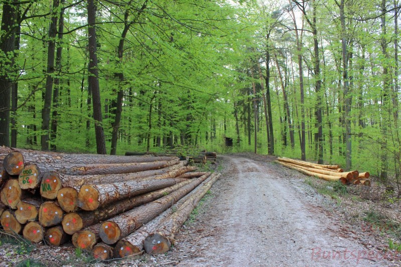 Bildle Nummära 003.jpg