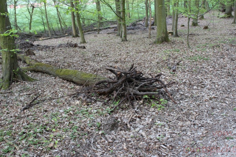 Bildle Nummära 004.jpg