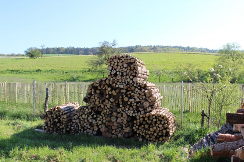 Bildle Nummära 005.jpg