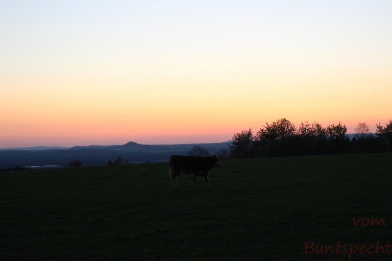 Bildle Nummära 011.jpg