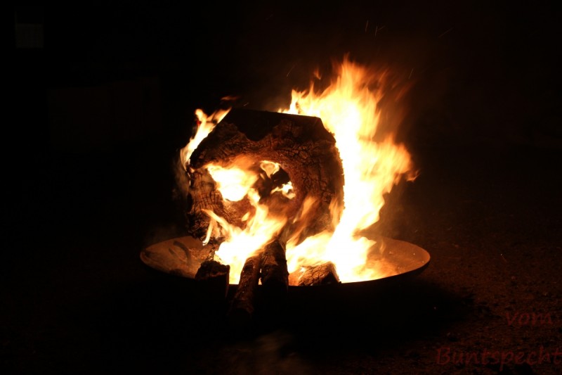 Bildle Nummära 013.jpg