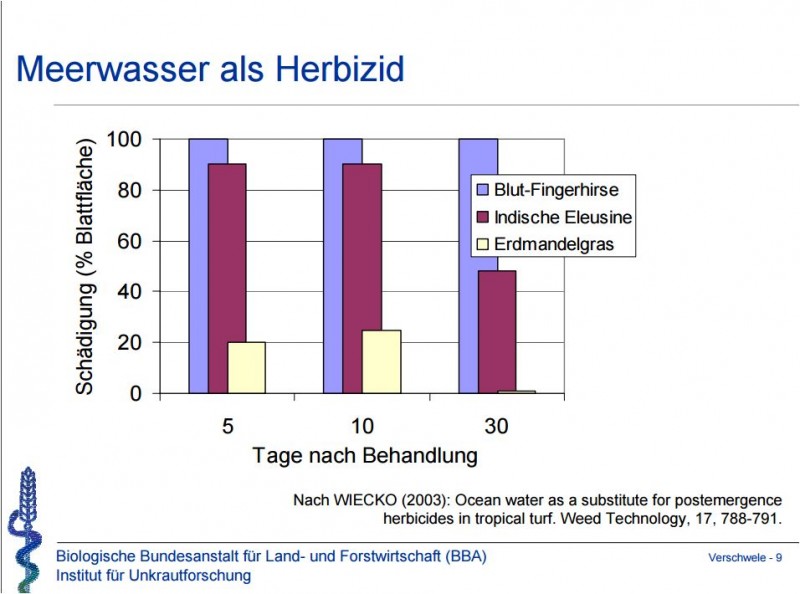 Meerwasser.JPG