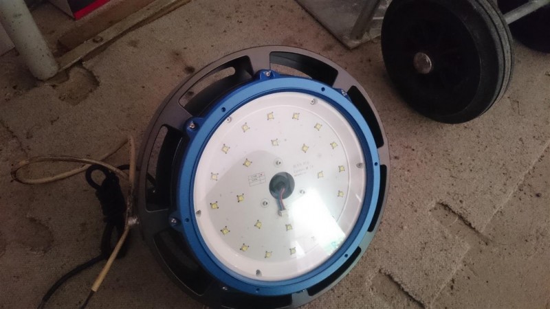 DSC_2309 (Mittel).JPG