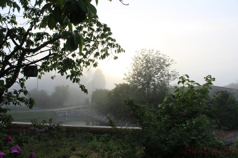 Bildle Nummära 001.jpg