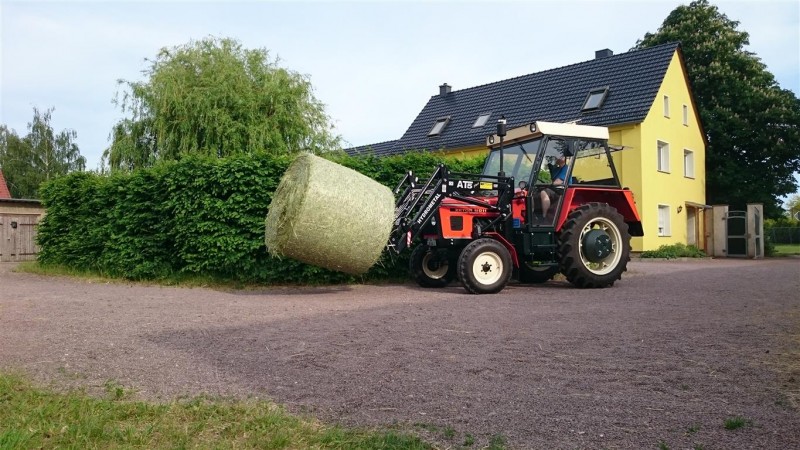 DSC_0160 (Mittel).JPG