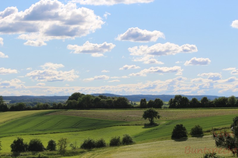 Bildle Nummära 001.jpg