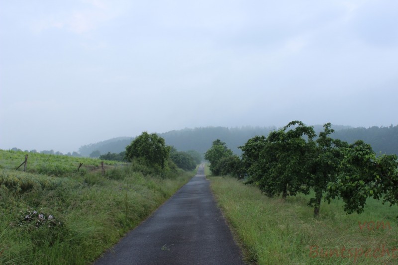 Bildle Nummära 001.jpg