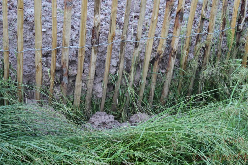 Bildle Nummära 002.jpg