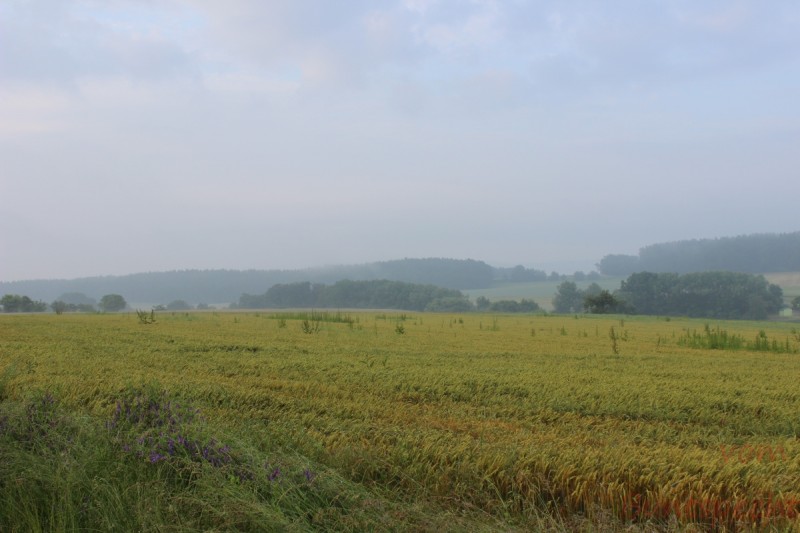 Bildle Nummära 004.jpg