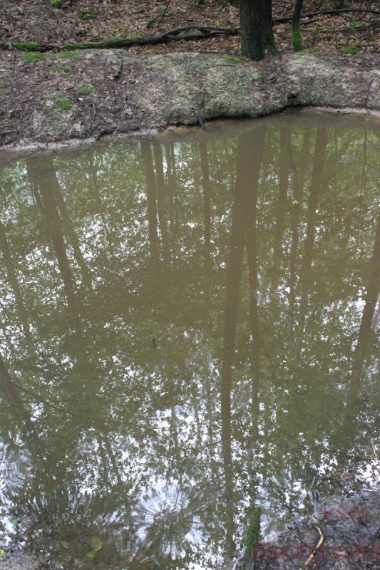 Bildle Nummära 009.jpg