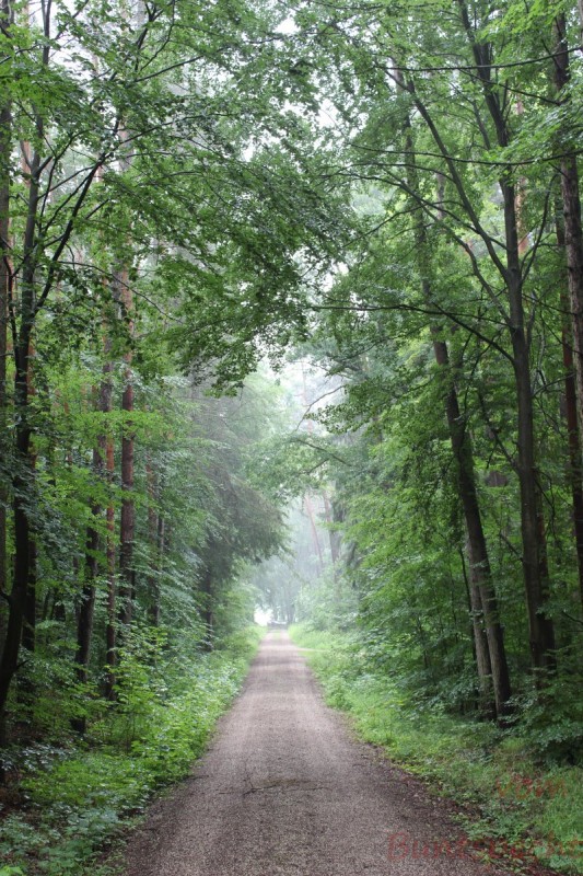 Bildle Nummära 010.jpg