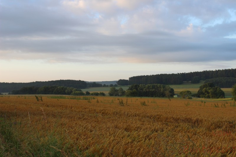 Bildle Nummära 001.jpg