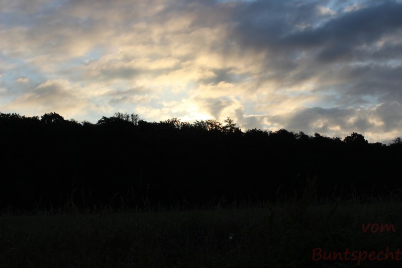 Bildle Nummära 002.jpg