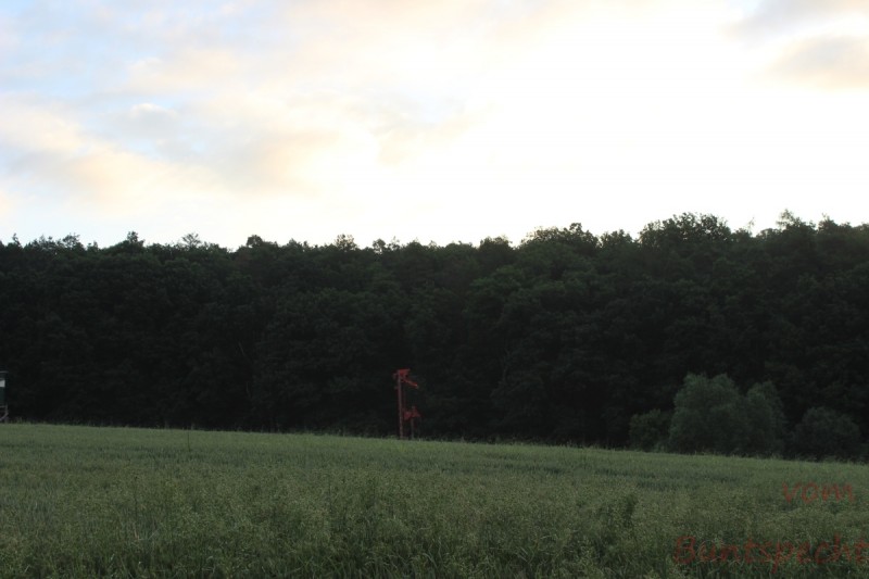 Bildle Nummära 004.jpg