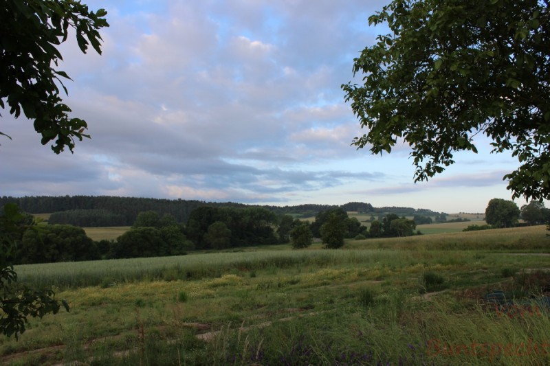 Bildle Nummära 006.jpg