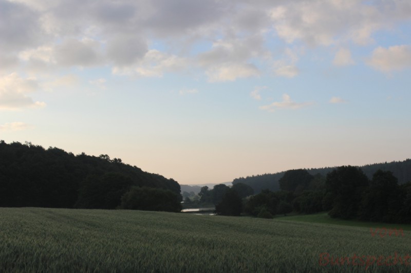 Bildle Nummära 007.jpg