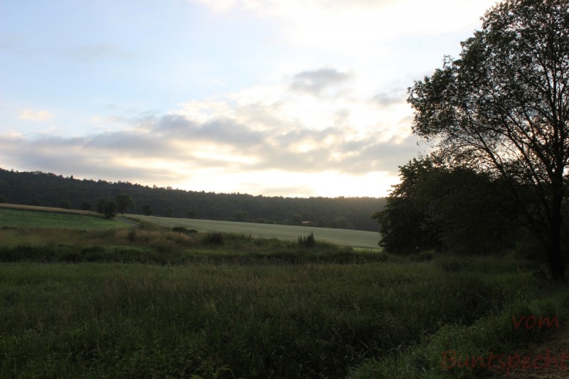 Bildle Nummära 008.jpg