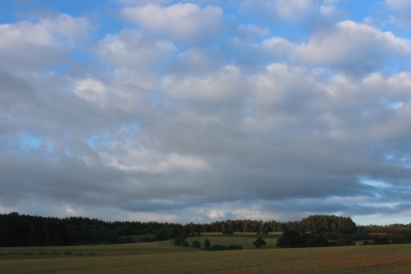 Bildle Nummära 009.jpg