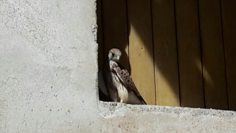 2016-07-10 19.52.15.jpg