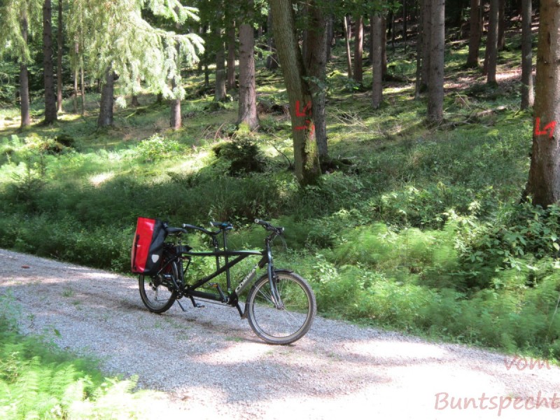 Bild Nummera 001.jpg