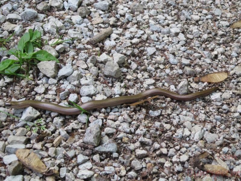 Bild Nummera 002.jpg