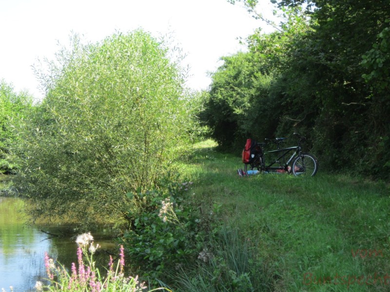 Bild Nummera 003.jpg