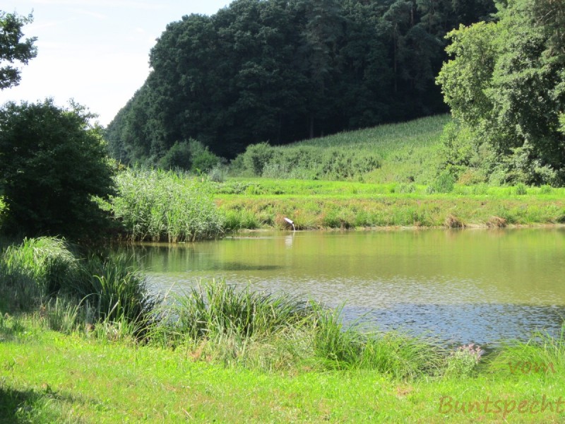 Bild Nummera 004.jpg