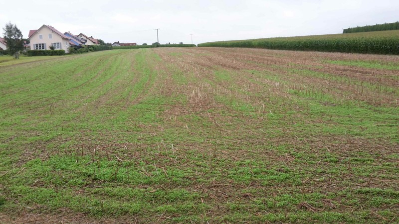 WhatsApp Image 2016-08-12 at 17.02.21.jpeg