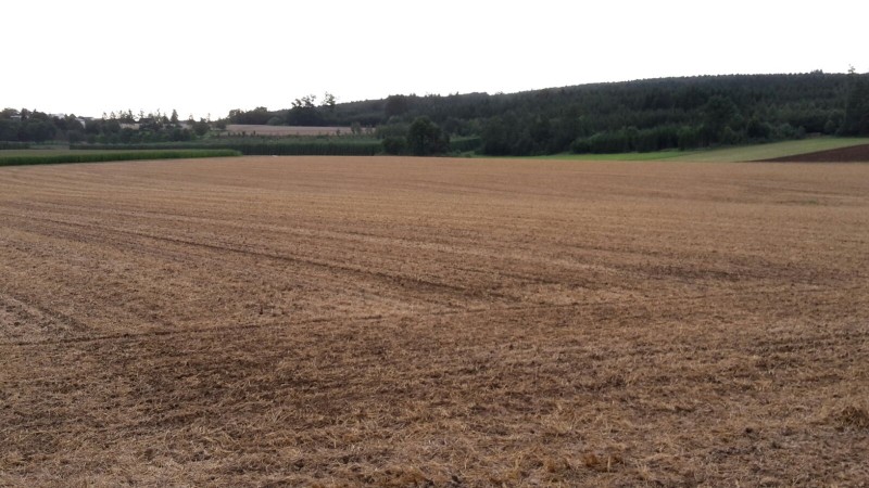 WhatsApp Image 2016-08-09 at 20.15.50.jpeg