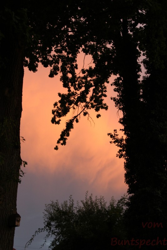 Bildla Nummera 001.jpg