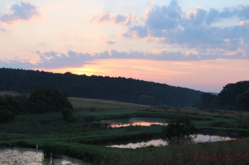 Bildla Nummera 002.jpg