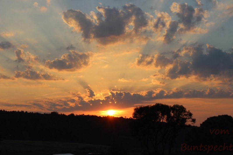 Bildla Nummera 003.jpg