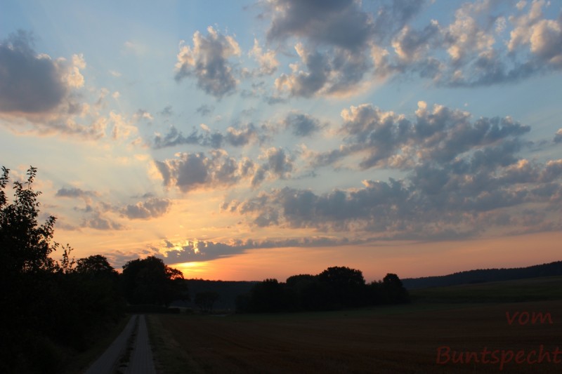 Bildla Nummera 004.jpg