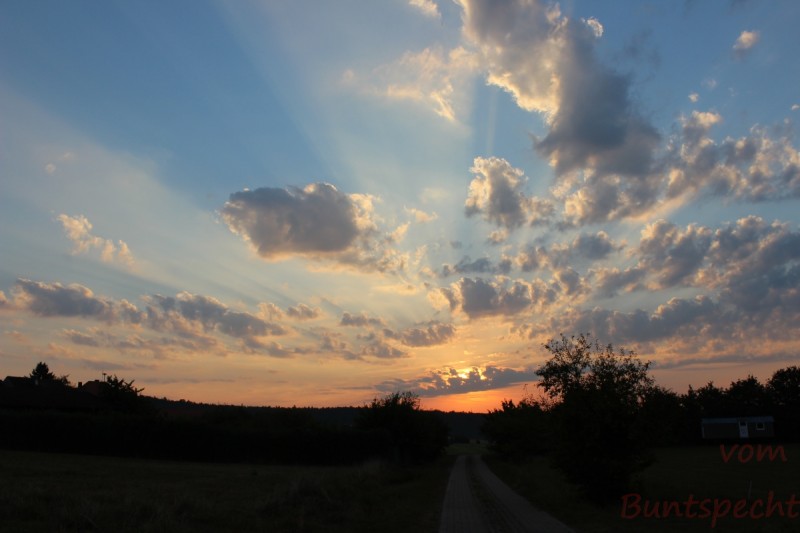 Bildla Nummera 005.jpg